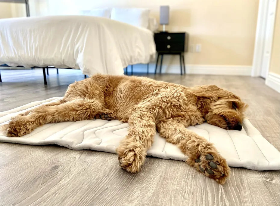 ChillWave Ice Silk Cooling Mat For Dogs & Cats (Summer Comfort)
