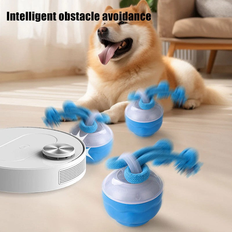 d50aa9e00d022f5d99f30b692acadcb3