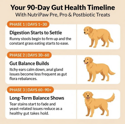 Natural Pro & Postbiotic Daily Treats