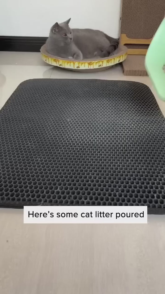 The CleanPaw HoneyComb Litter-Trapping Mat